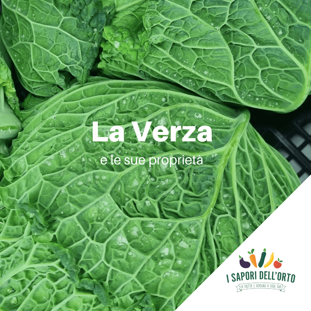 Al momento stai visualizzando La Verza