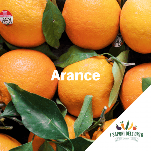 Scopri di più sull'articolo Arance