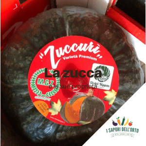 Scopri di più sull'articolo La zucca