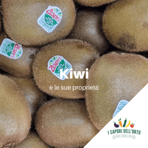 Scopri di più sull'articolo I kiwi
