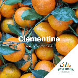 Scopri di più sull'articolo Le clementine