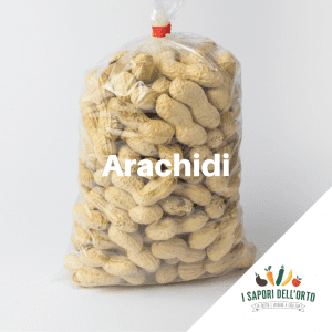 Scopri di più sull'articolo Le arachidi