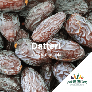 Scopri di più sull'articolo Datteri