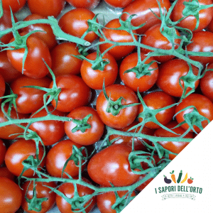 Scopri di più sull'articolo 