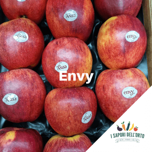 Scopri di più sull'articolo Envy
