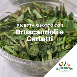 Scopri di più sull'articolo Risotto carletti e bruscandoli