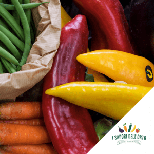 Scopri di più sull'articolo Forniture per bar e ristoranti