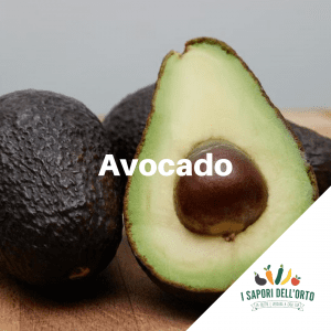 Scopri di più sull'articolo Avocado