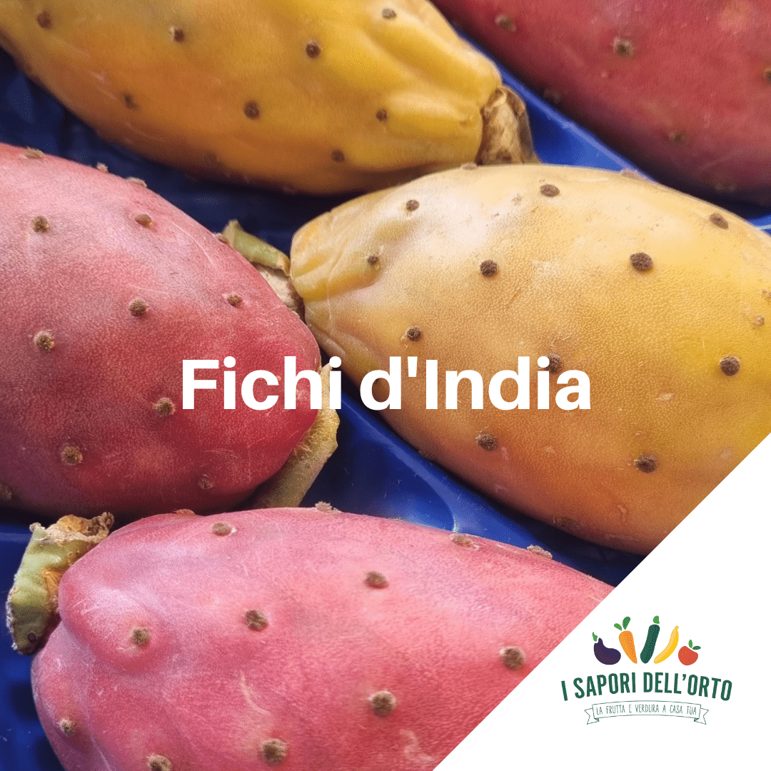 Scopri di più sull'articolo Fichi d’India