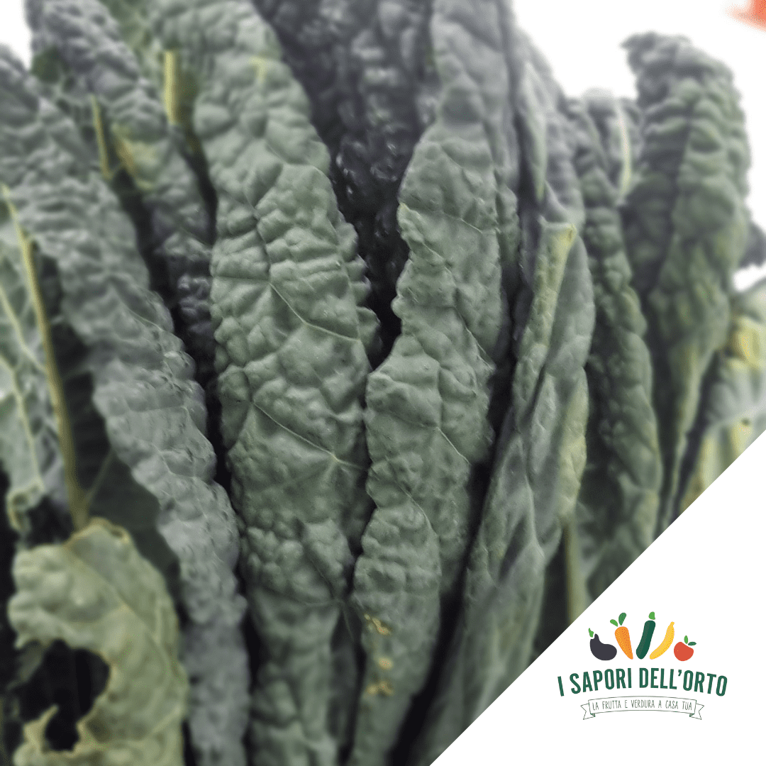 Scopri di più sull'articolo Cavolo nero