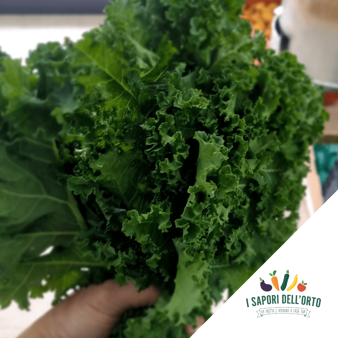 Scopri di più sull'articolo Cavolo riccio